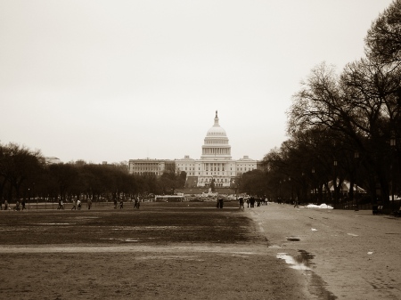 The Capitol in Sepia